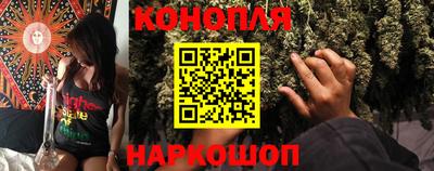 стаф Кунгур