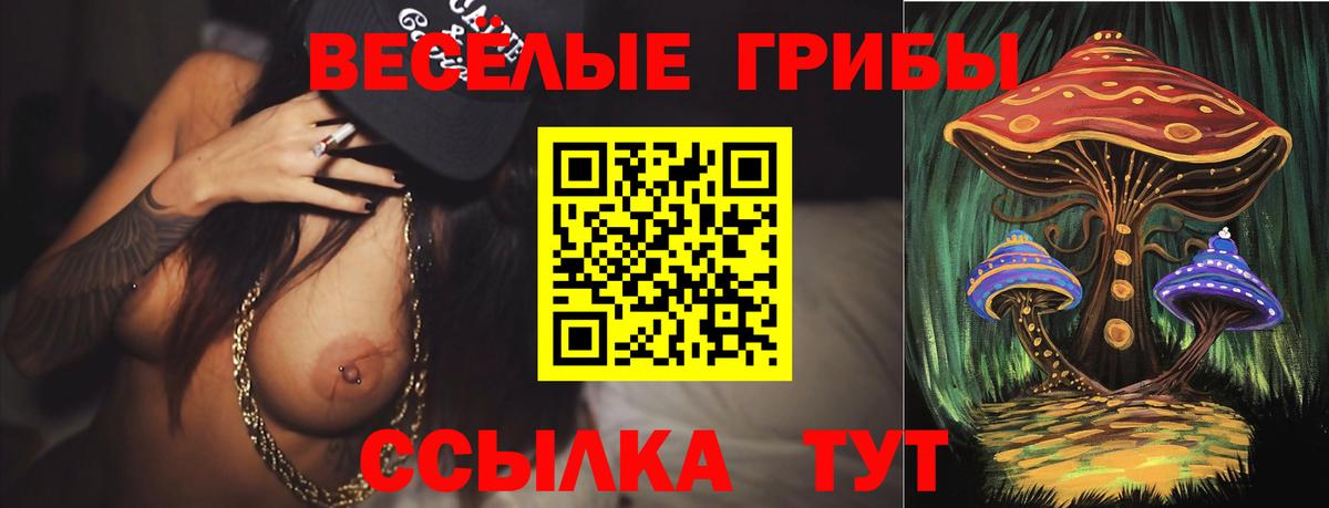 Псилоцибиновые грибы ЛСД Губкин